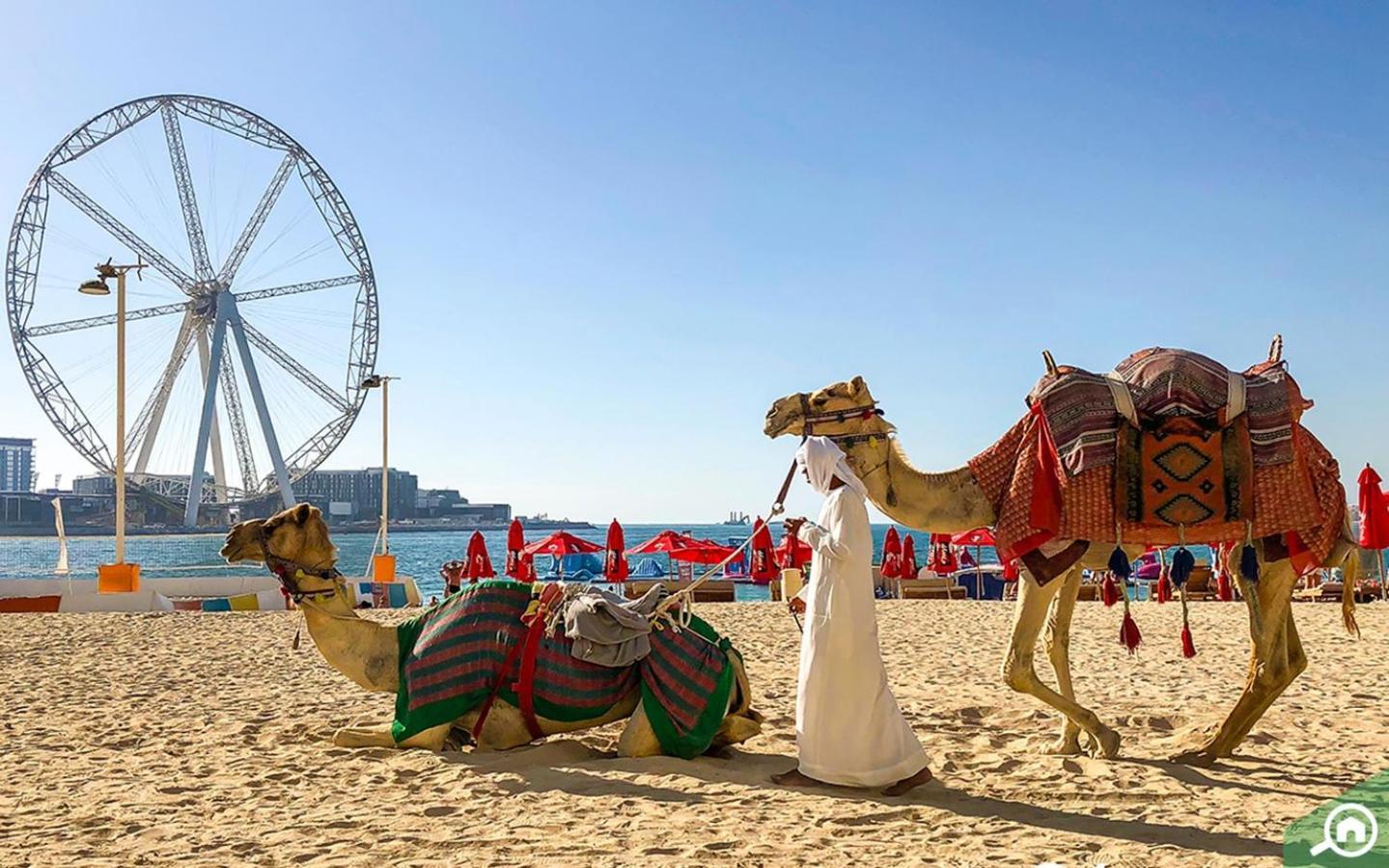 Murjan Jbr Apartments By Happy Season دبي المظهر الخارجي الصورة